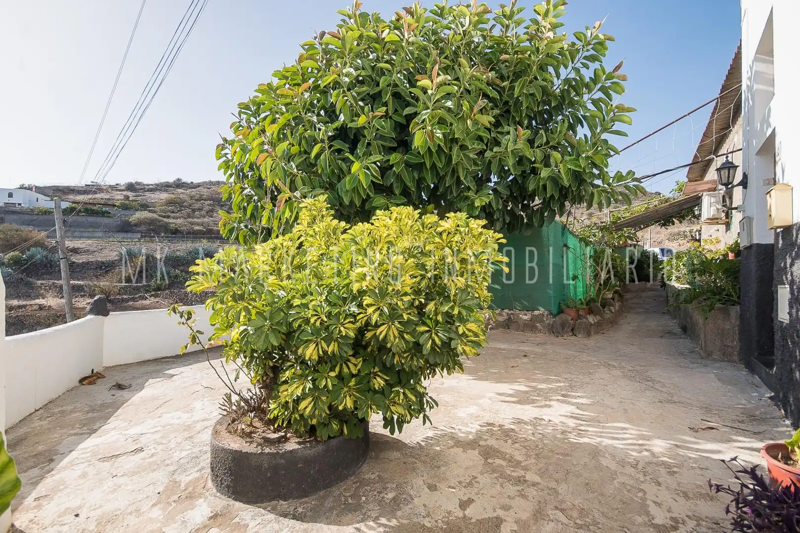Vista exterior de Finca rústica en venta en Telde con Jardín privado y Terraza
