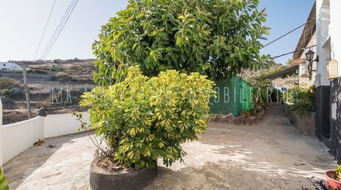 Foto 2 de Finca rústica en venta en Breñas, 62, Valle de los Nueve - El Ejido - Medianías, Telde