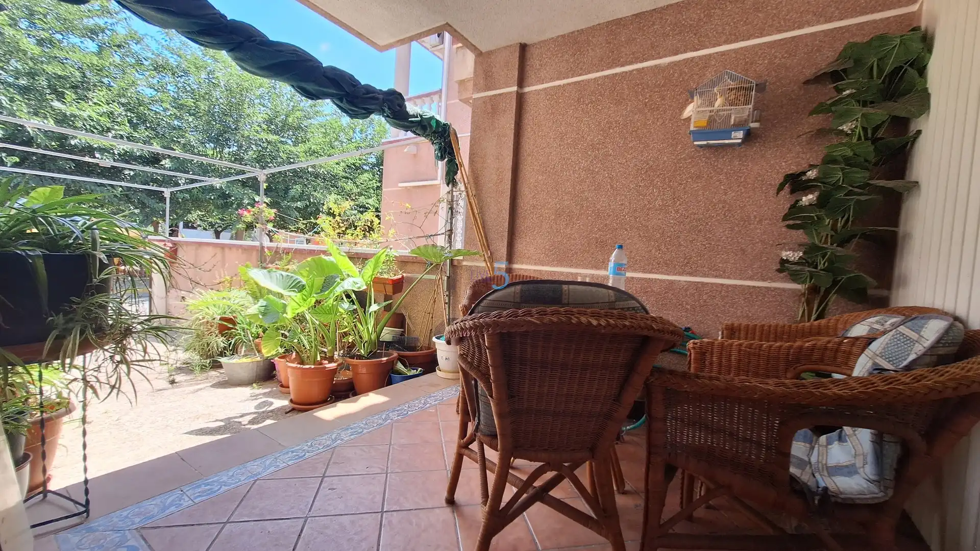 Terraza de Casa o chalet en venta en Almoradí con Terraza, Trastero y Amueblado