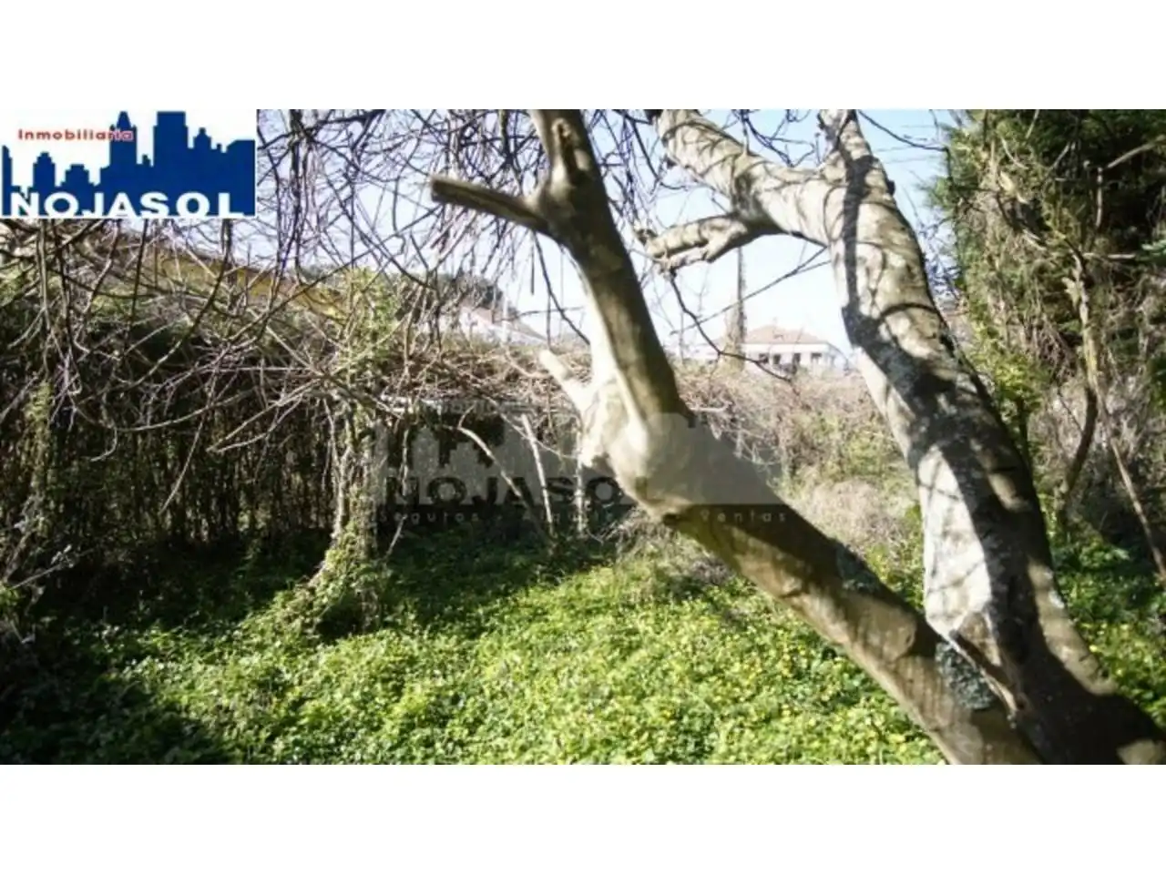 Casa o xalet en venda a Calle La Cava, Arnuero