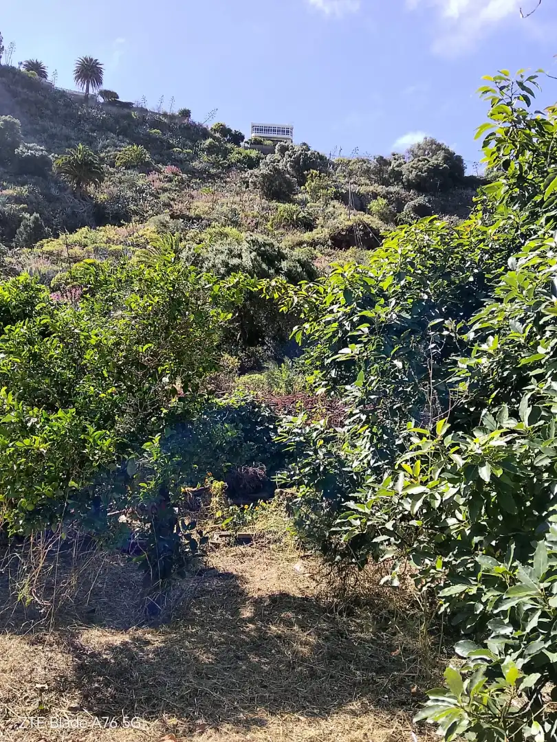 Finca rústica en venda en Santa Brígida