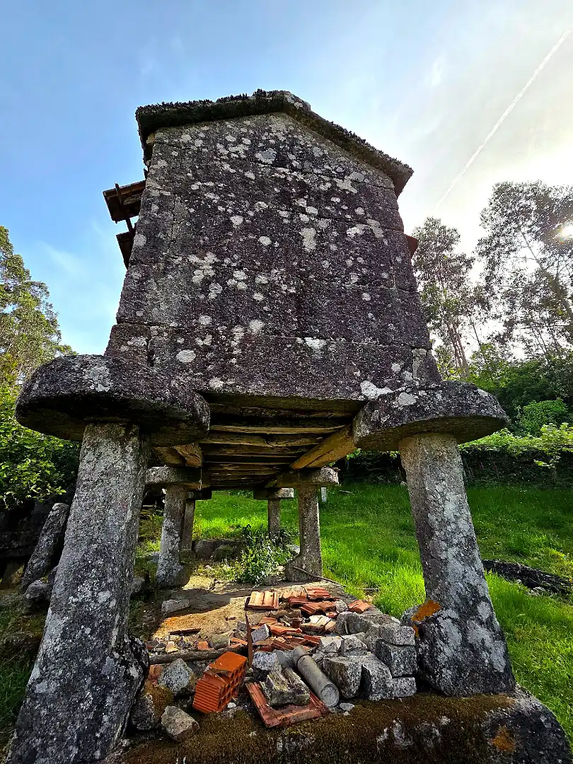 Vista exterior de Finca rústica en venta en Meis con Jardín privado y Terraza