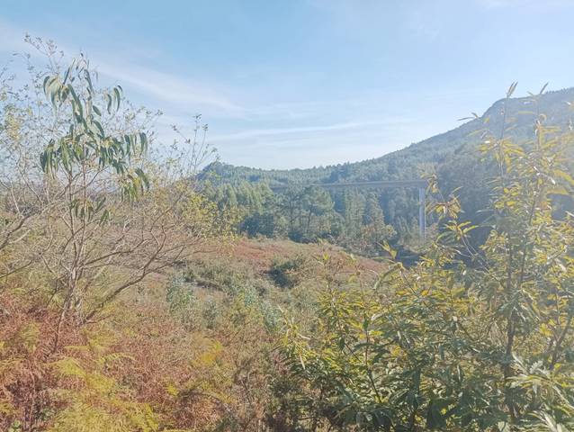 Terreno en Venta en Centro de Culleredo