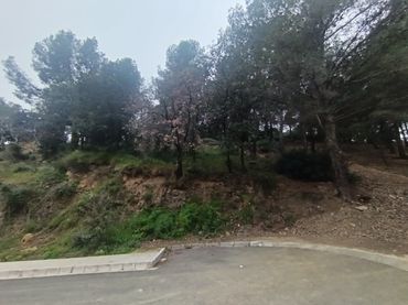 Terreny residencial en venda a Almoster