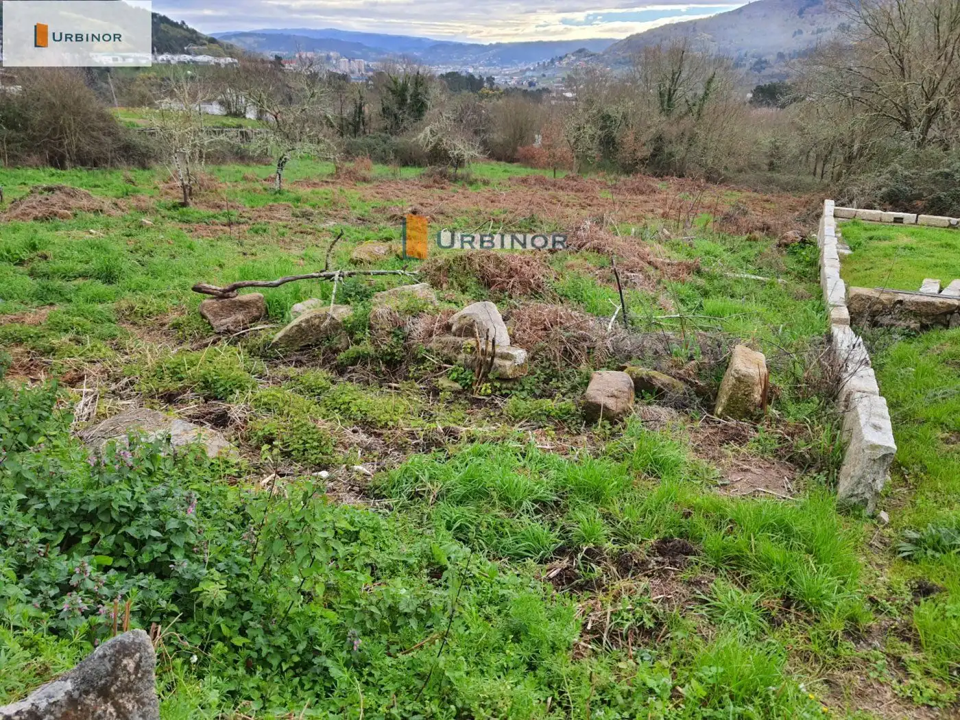 Terreni e lotti in vendita a San Rosendo, imagen 14