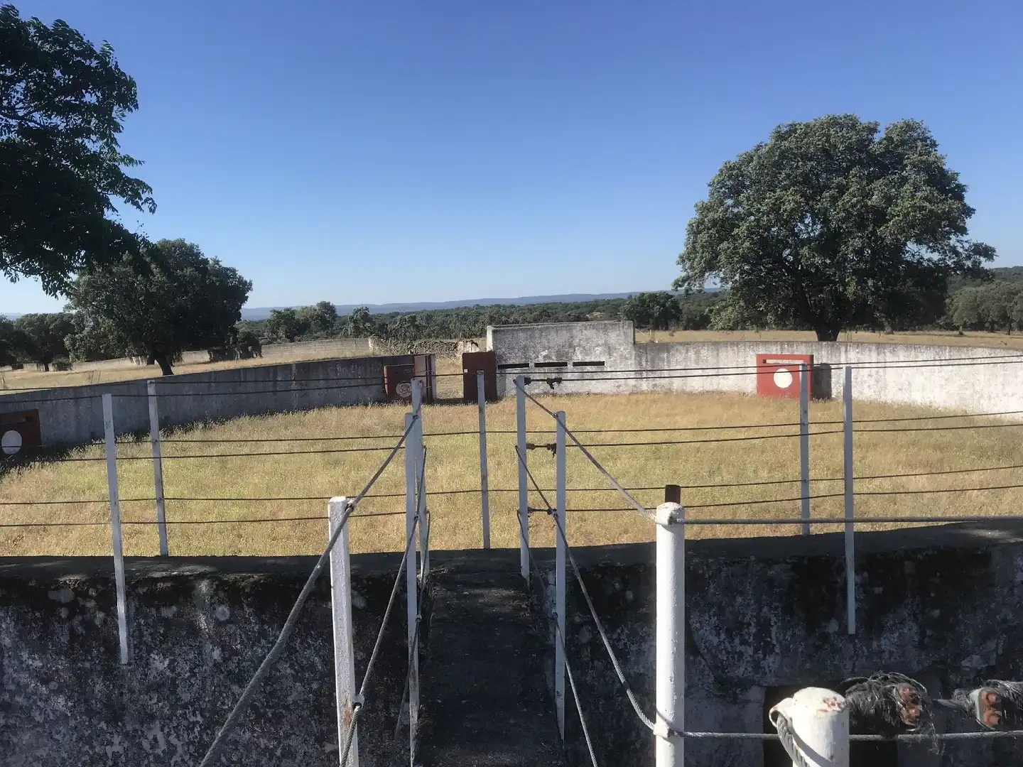 Terreni e lotti in vendita a Malpartida de Plasencia, imagen 5