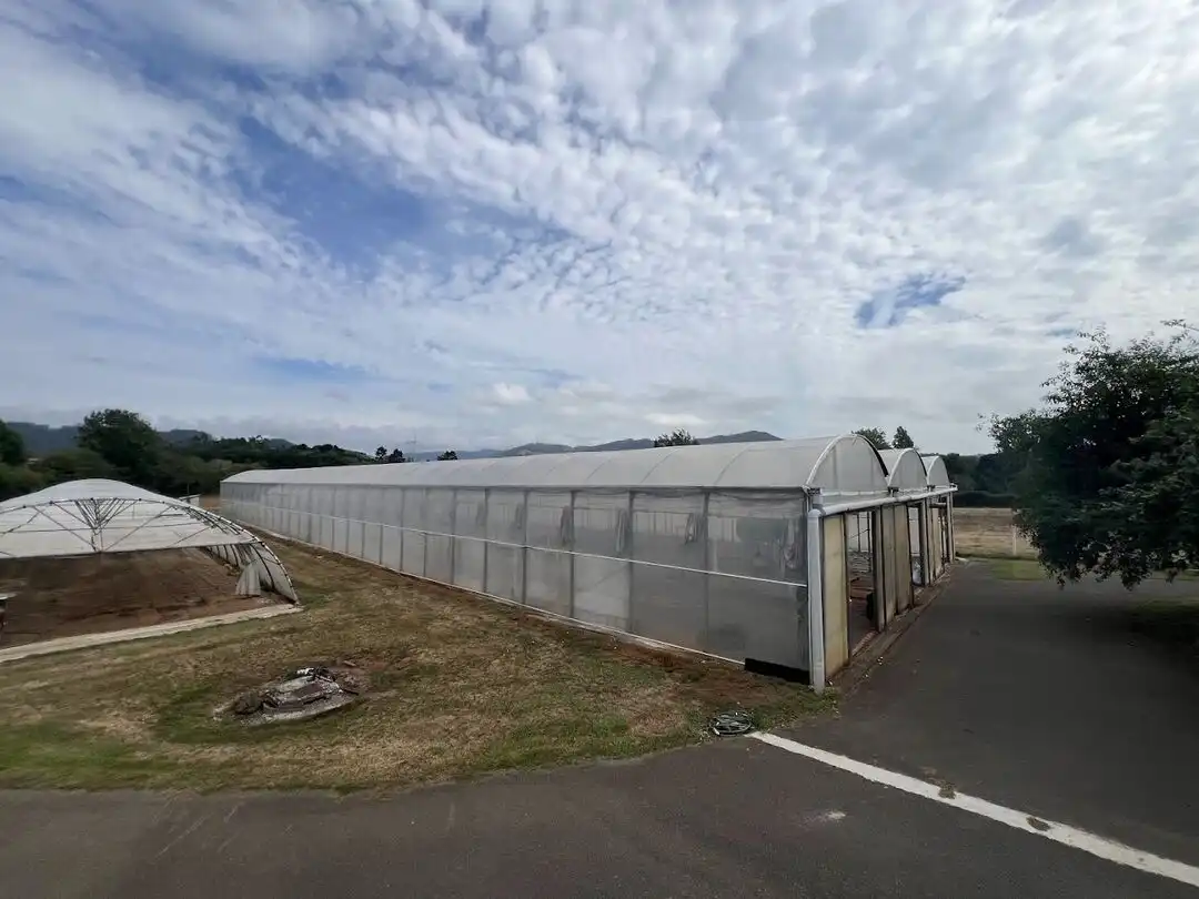 Terrenys i solars en venda a Llanera, imagen 28