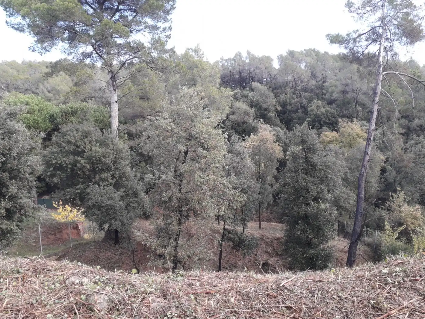 Wohnbaugrundstück zum Verkauf in can canyameres, imagen 3