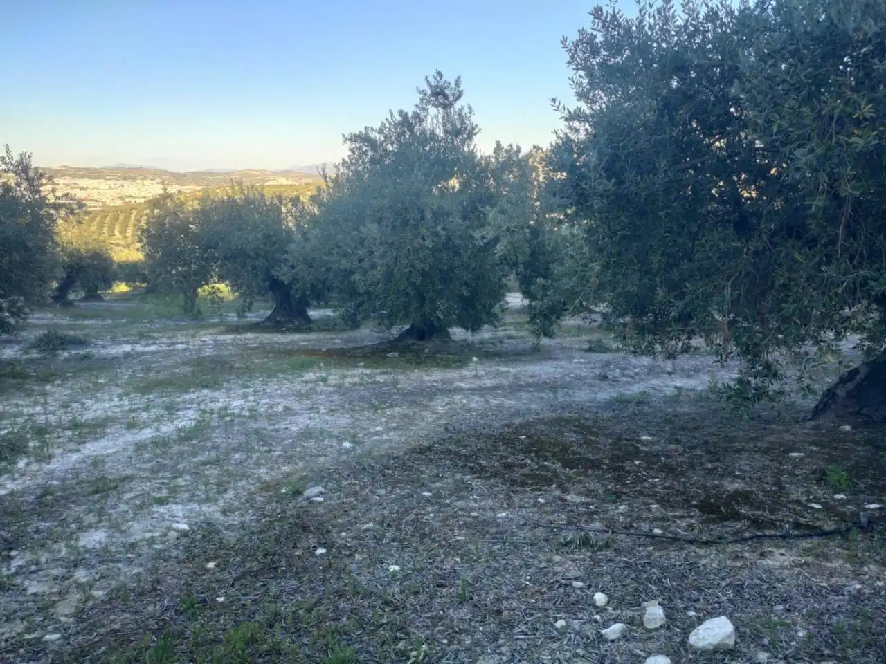 Rustikales Grundstück zum Verkauf in Calle Salvador Muñoz, imagen 6