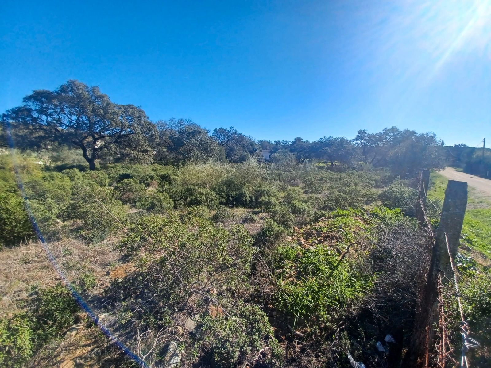 Land for sale in Castilblanco de los Arroyos