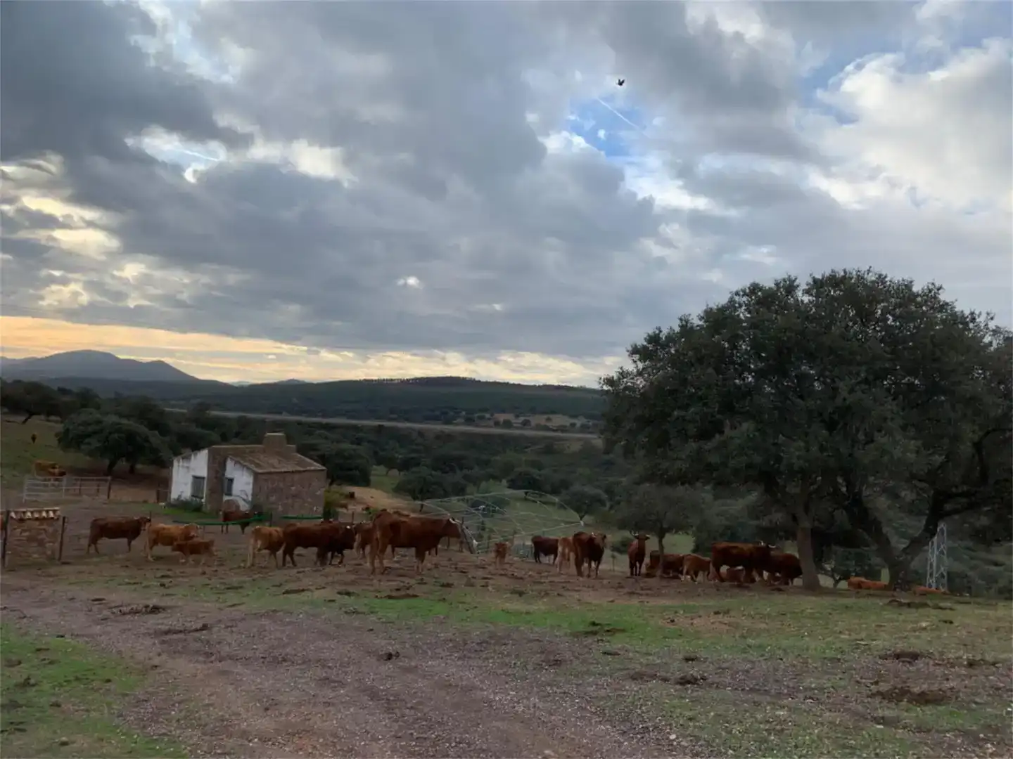 Exterior view of Country homes for sale in Garbayuela  with Private garden, Storage room and Swimming Pool