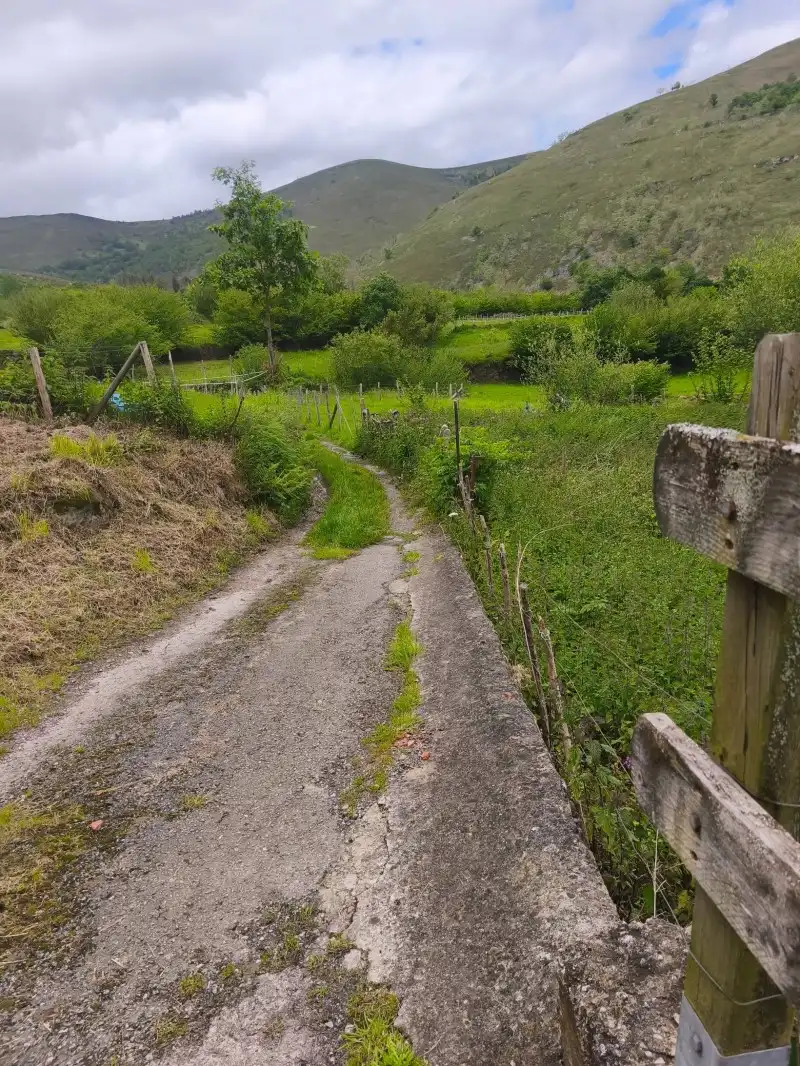 Rural land for sale in Rionansa, imagen 9