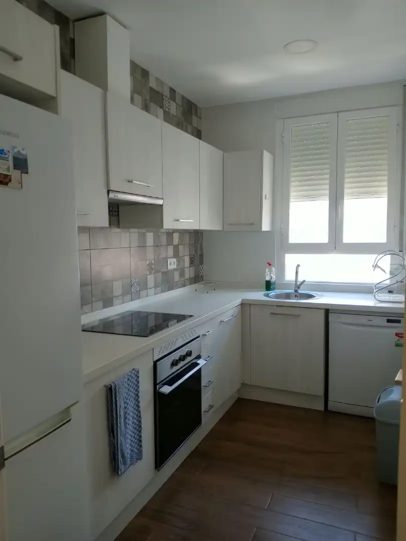 Kitchen of Flat for rent in Centro
