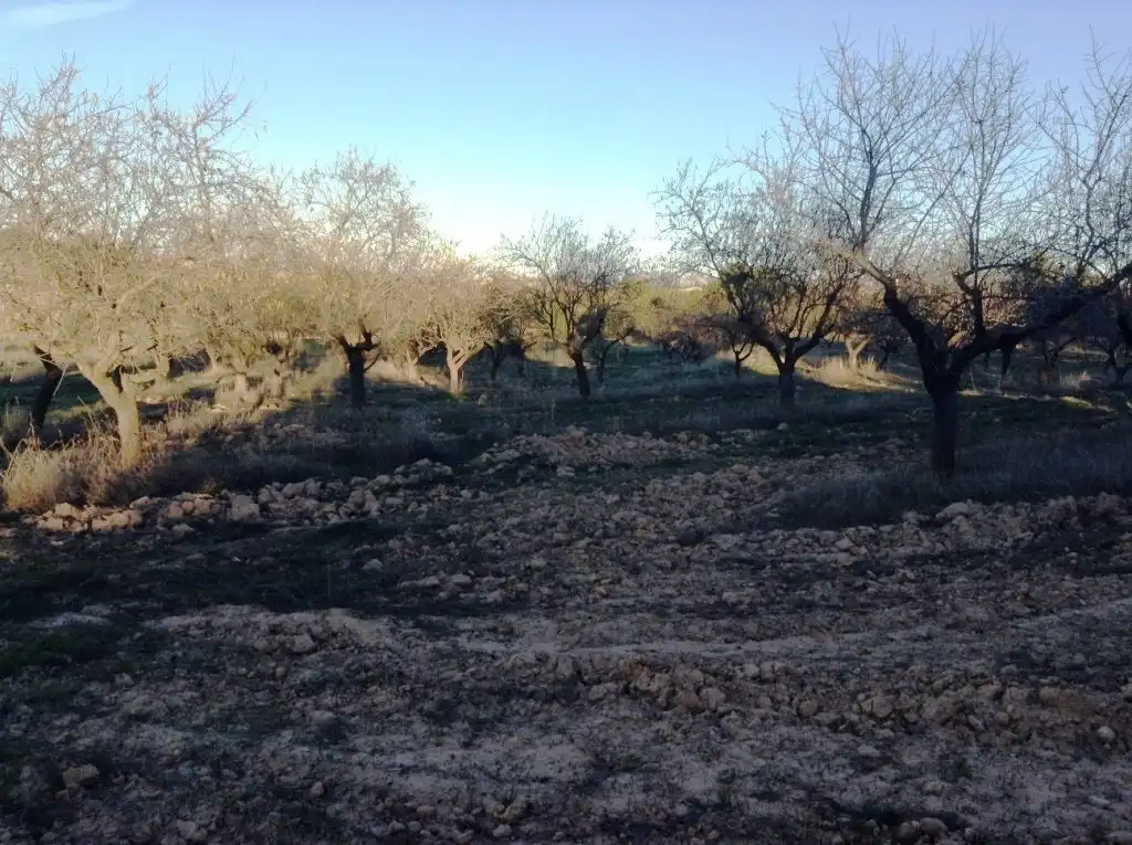 Terreni e lotti in vendita a Valderrobres, imagen 9