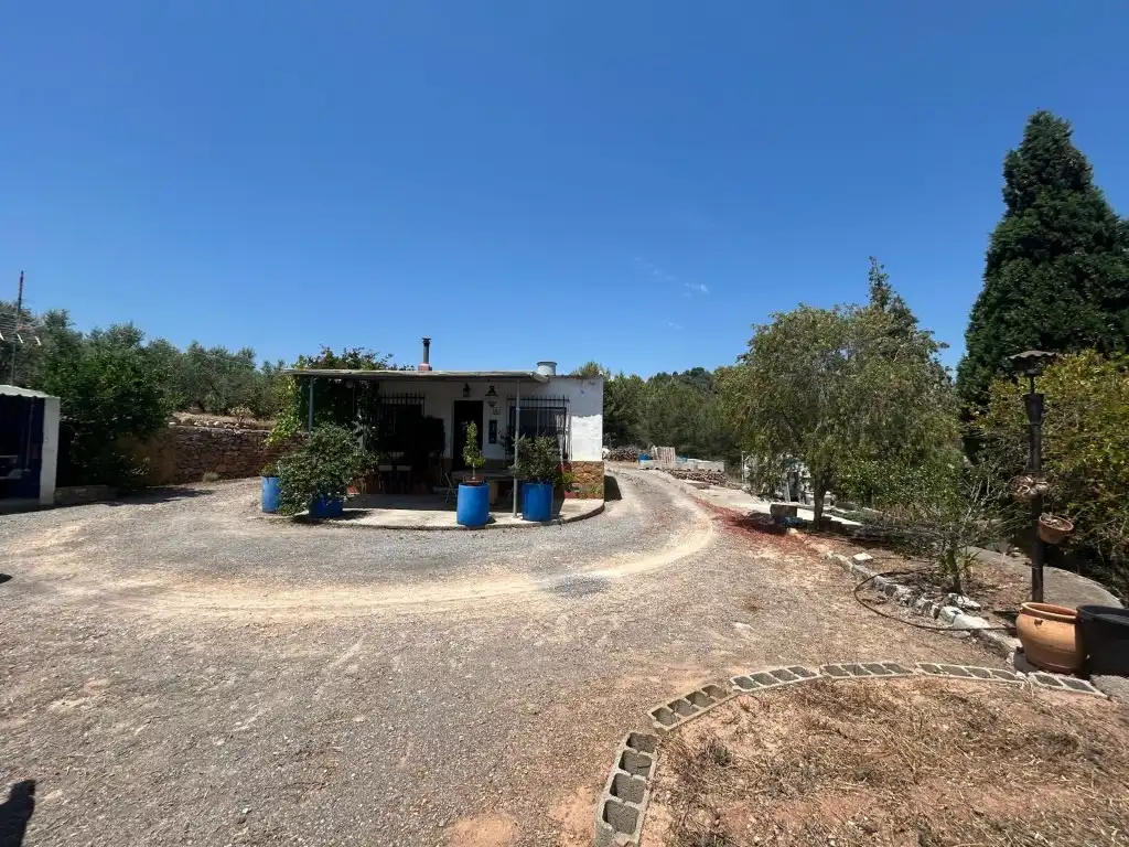 Vista exterior de Finca rústica en venta en Sot de Ferrer