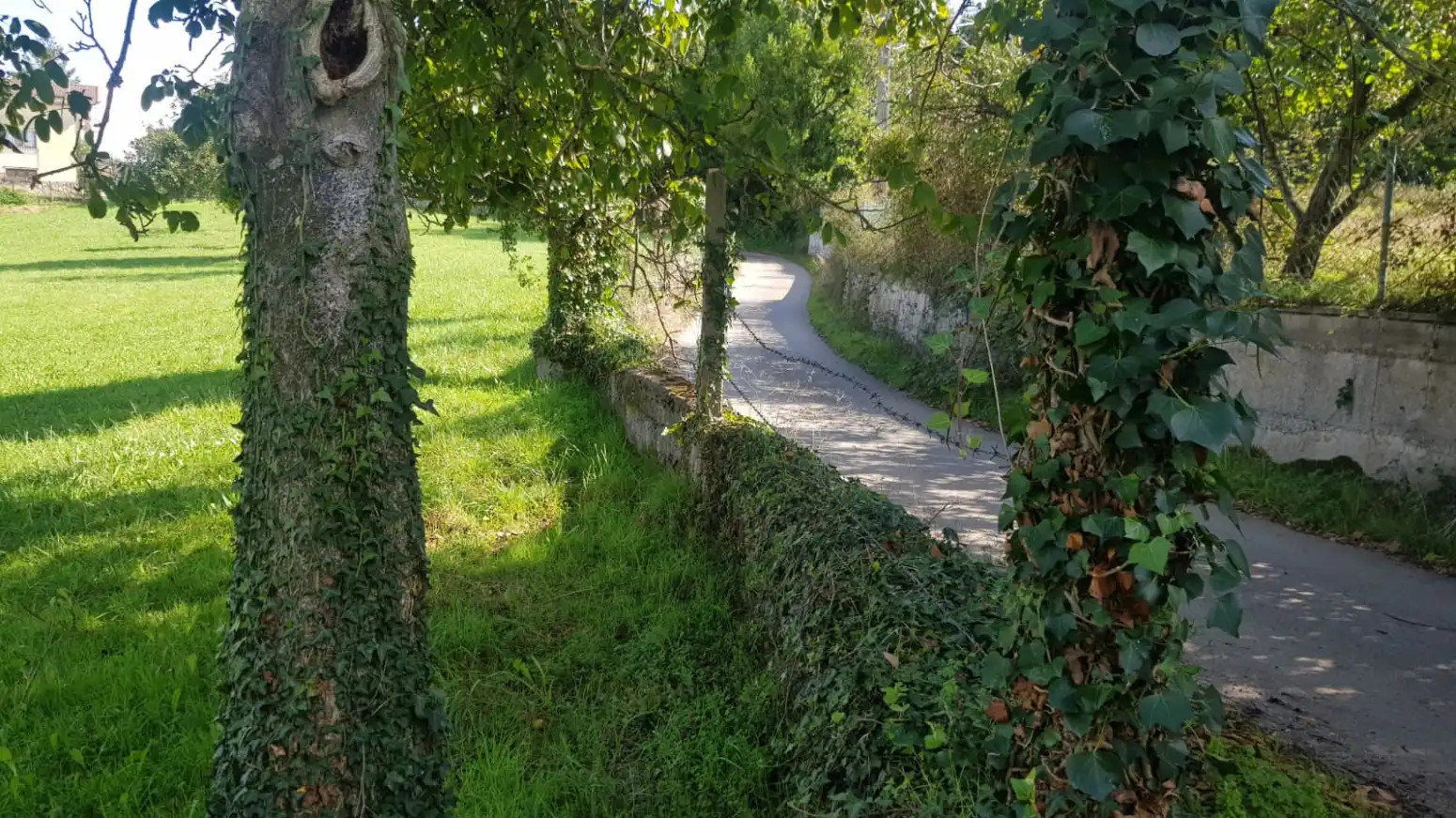 Residential land for sale in San Miguel - SAN MIGUEL DE LA BARRERA, imagen 12