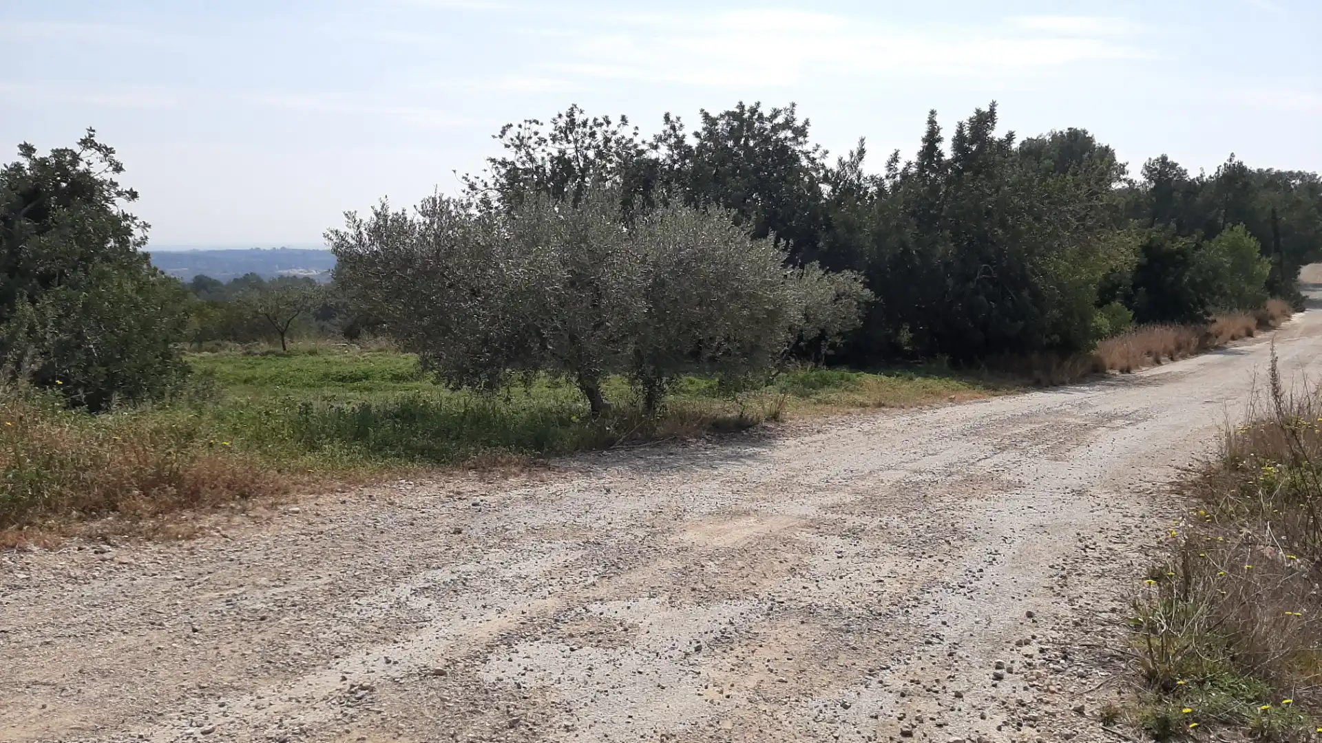 Rural land for sale in N/A, imagen 3