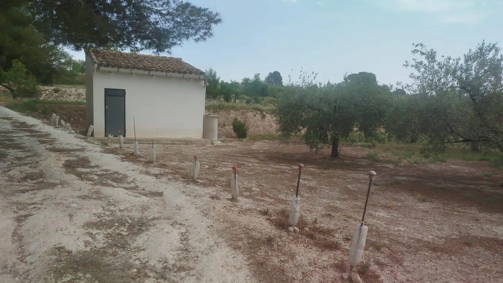Terreno residencial en venta en L'Olleria, imagen 2