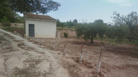RÚSTICO VENTA DE 4 PARCELAS CONTIGUAS EN LOLLERIA, immagine 2