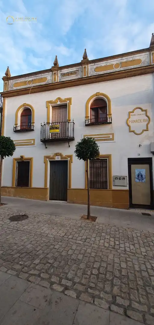 Vista exterior de Casa o chalet en venta en Bormujos con Terraza, Piscina y Piscina comunitaria