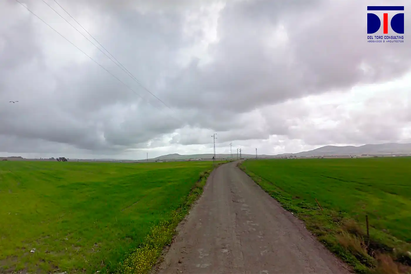 Lands and plots for sale in Lebrija, imagen 2