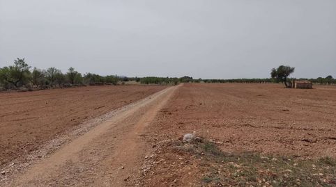 Imagen 3 del anuncio