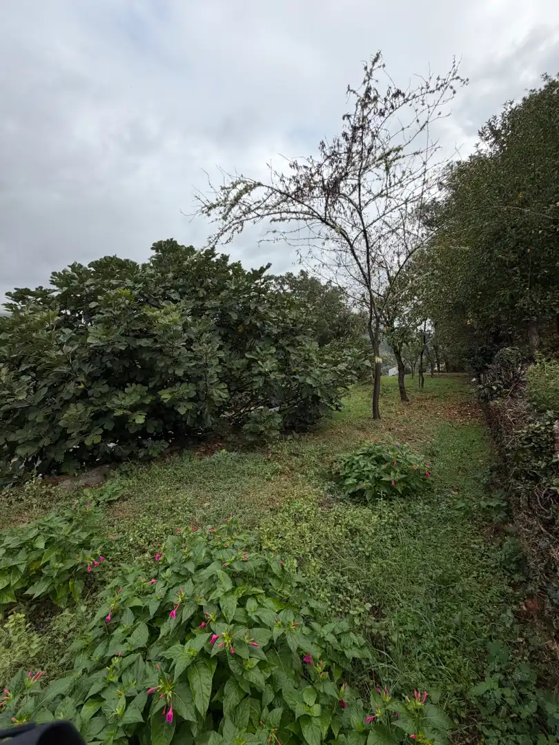 House with terrace for sale in Toén, imagen 12