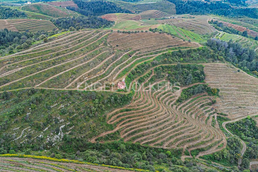 Residencial en venda en Bellmunt del Priorat