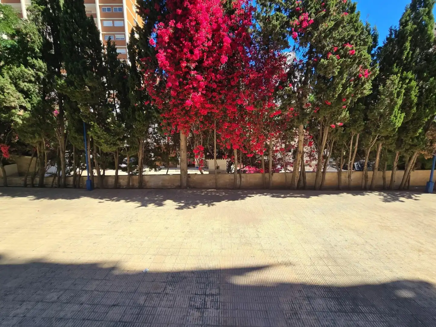 Vista exterior de Estudi en venda en Benidorm amb Aire condicionat, Moblat i Piscina comunitària