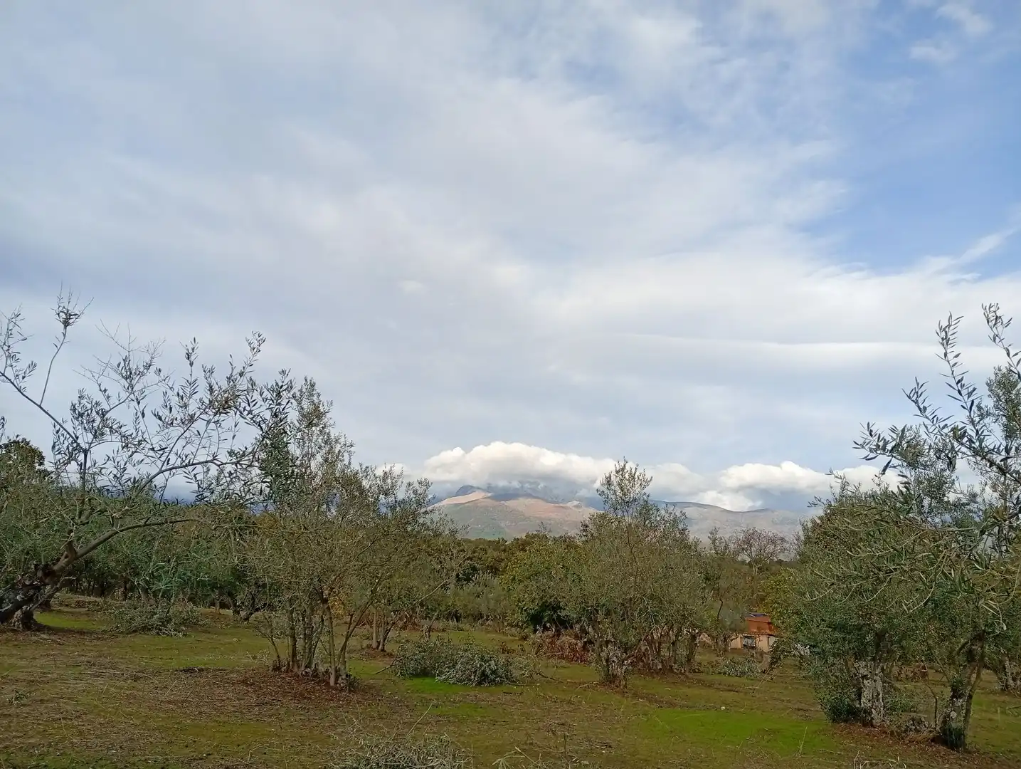 Terreni e lotti in vendita a Villanueva de la Vera, imagen 30