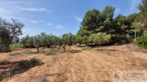 El VendrellTerreno, imagen 2