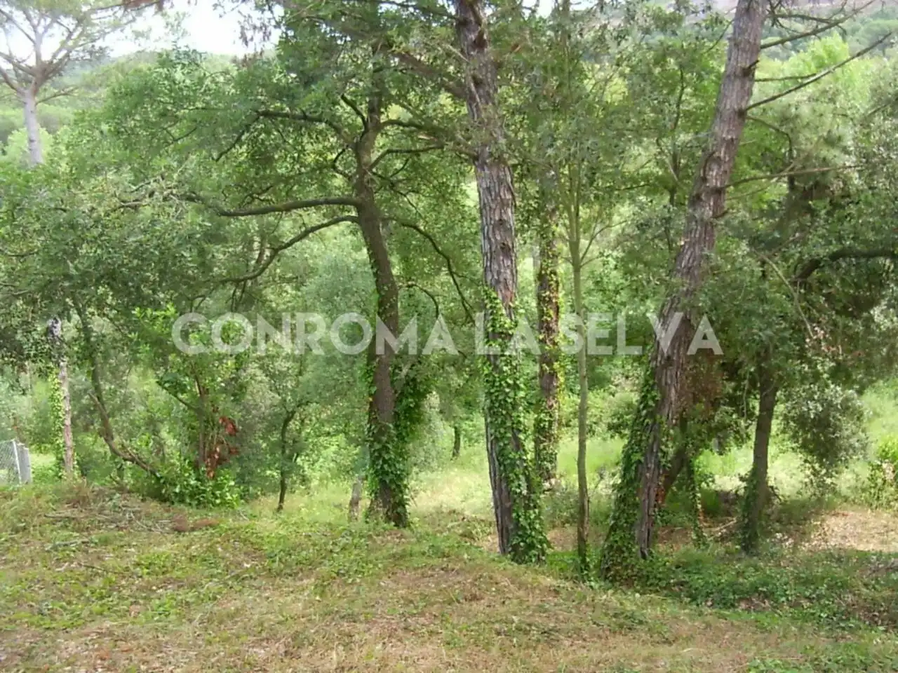 Residential land for sale in Residencial Park, imagen 7