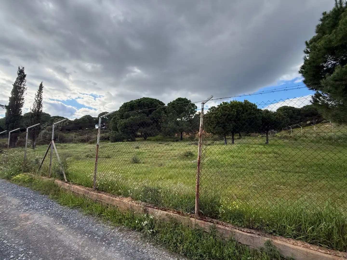 Terrenos y solares en venta en Las Palmillas, imagen 2