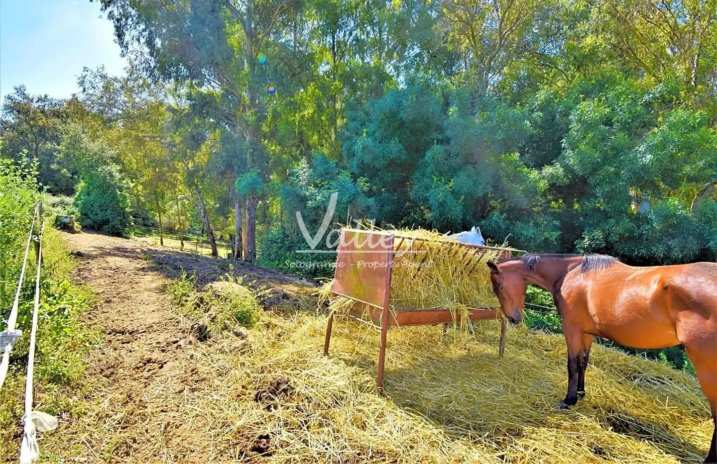 Terreni e lotti in vendita a Jimena de la Frontera, imagen 50