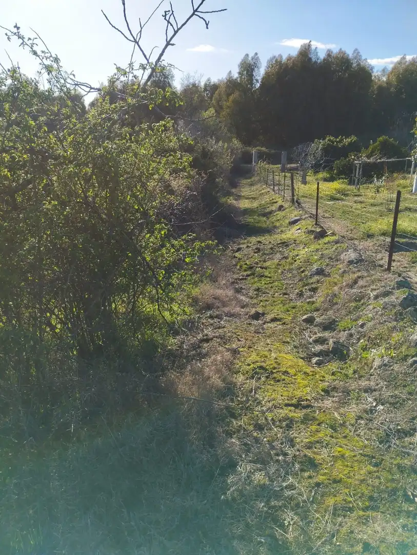 Terreni e lotti in vendita a Viandar de la Vera, imagen 23