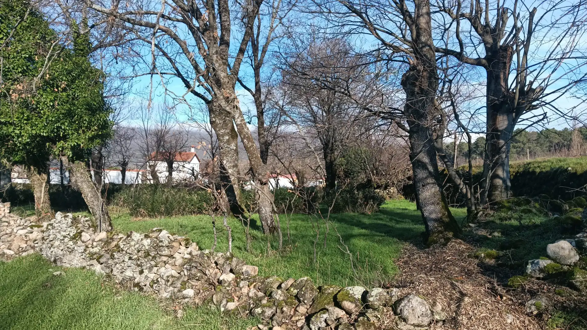 Terreni e lotti in vendita a Hervás, imagen 6