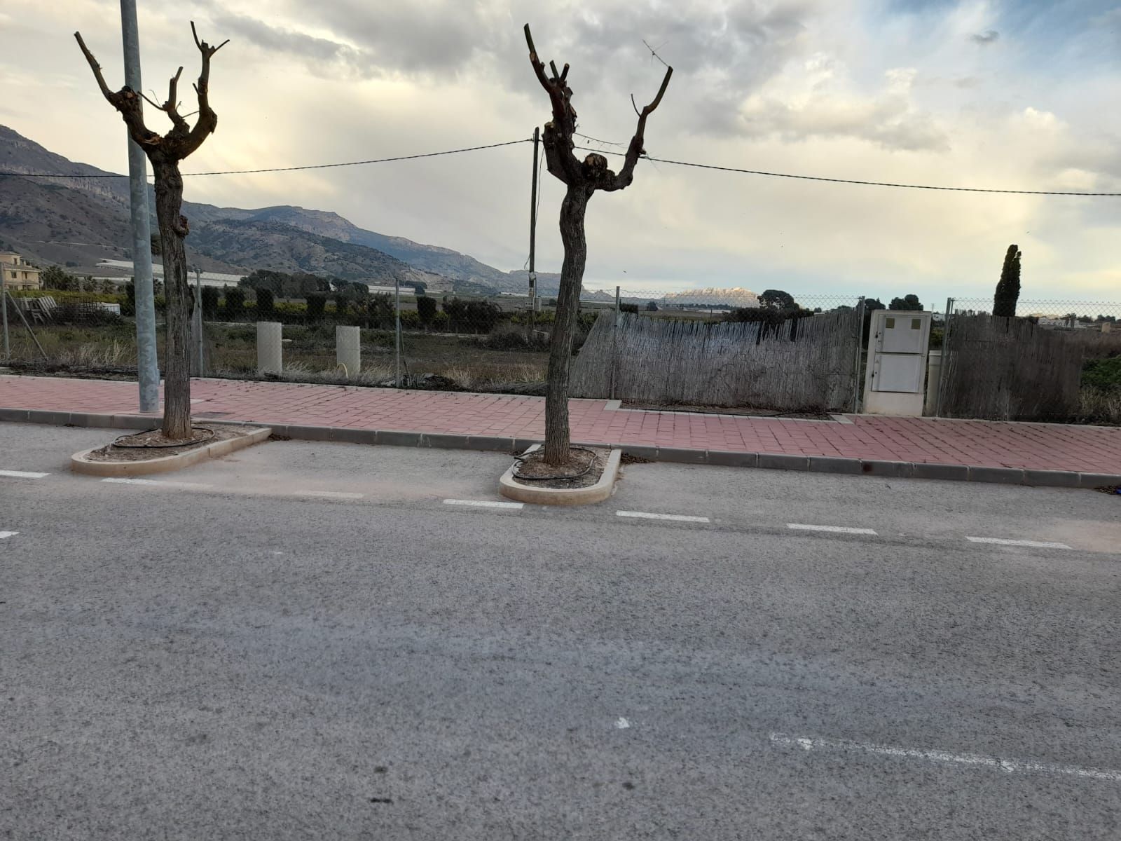 Vista exterior de Residencial en venda en Abarán