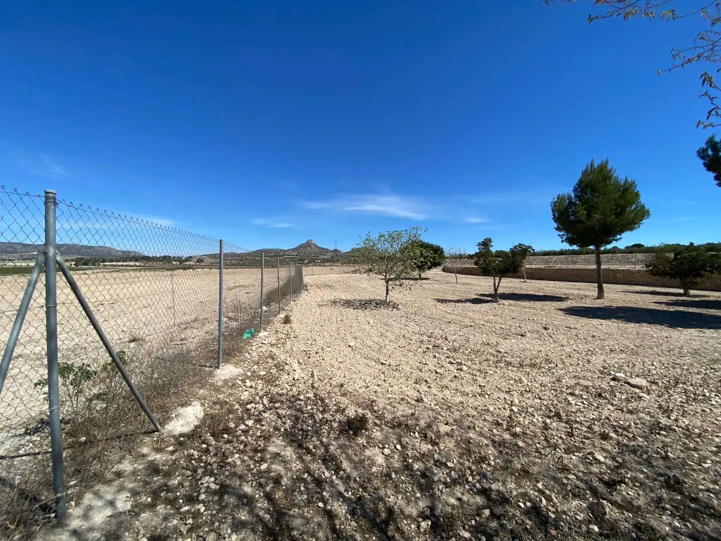 Casa rustica in vendita a Salinas, imagen 3