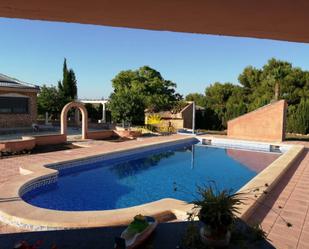 Swimming pool of House or chalet to rent in Elche / Elx  with Heating, Private garden and Swimming Pool