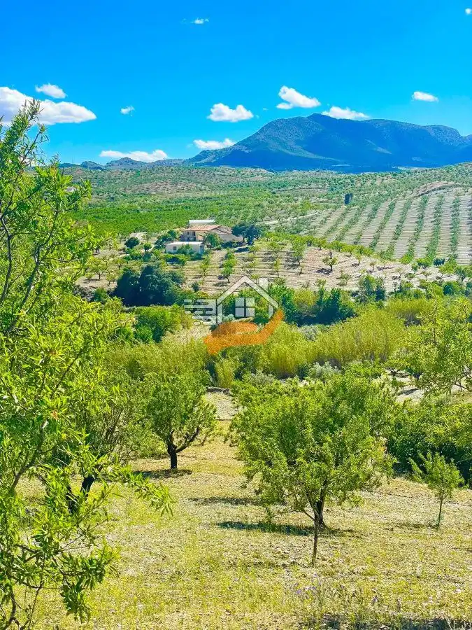 Residential land for sale in Vélez-Rubio, imagen 5