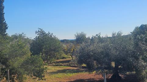 Photo 2 of Country house for sale in Cervera del Maestre, Castellón