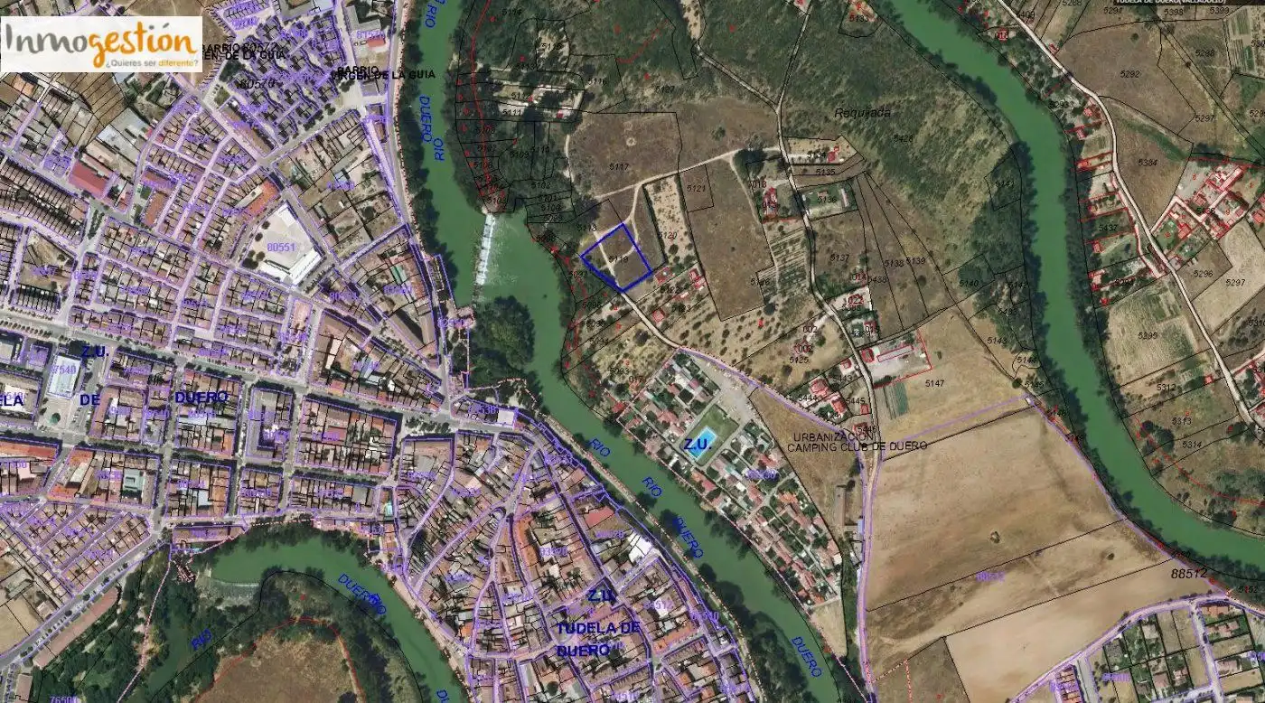 Terreno rustico in vendita a Tudela de Duero, imagen 9