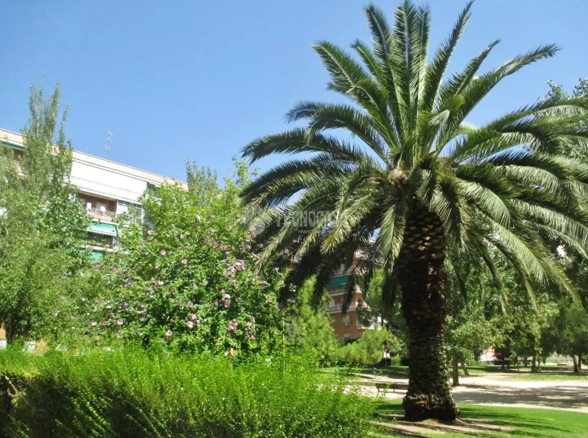 Jardín de Piso en venta en Madrid