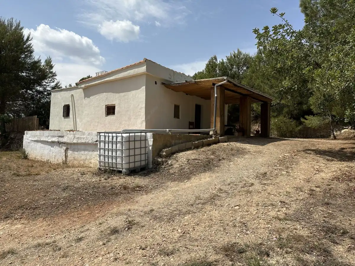 Exterior view of Houses for sale in Algar de Palància  with Terrace and Storage room