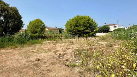 Foto 5 de Residencial en venda a Gavina, Les Salines, Castellón