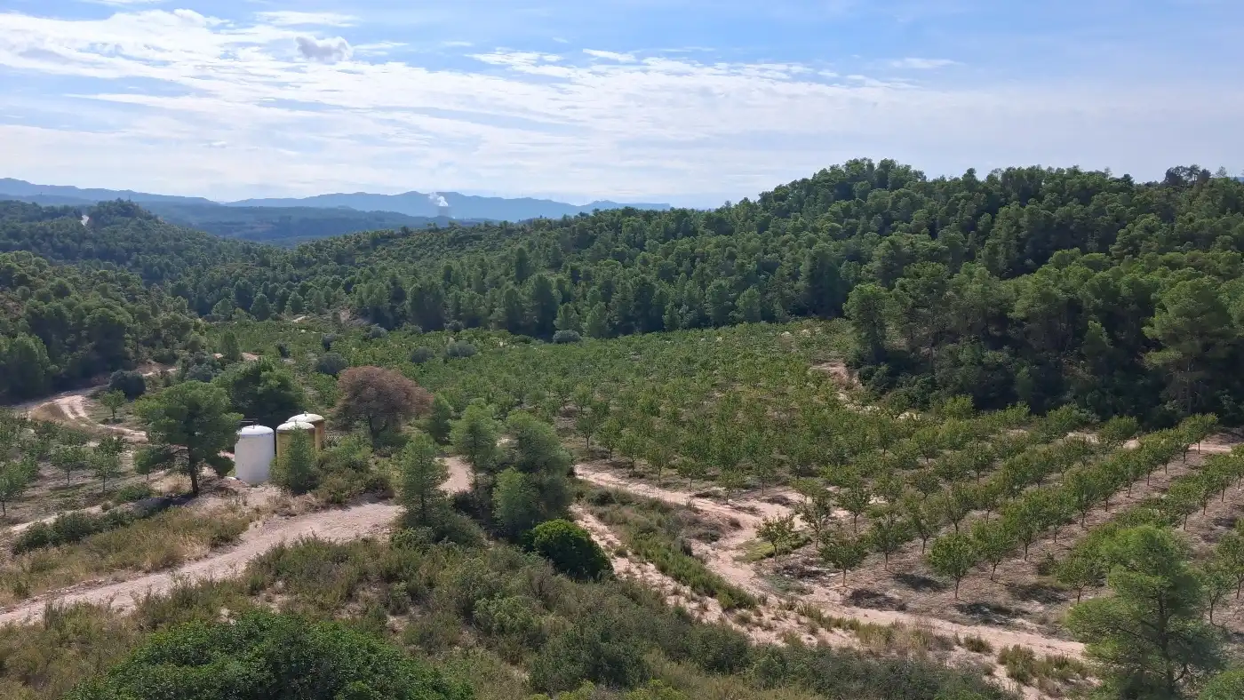 Maison rustique avec terrasse à vendre à C-233, imagen 27