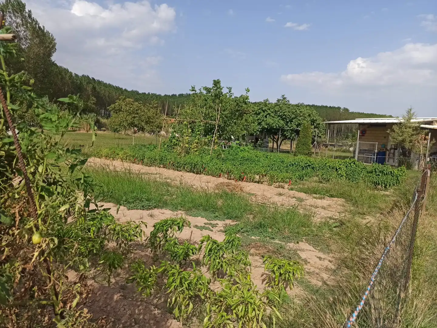 Terreno en venta en Viana