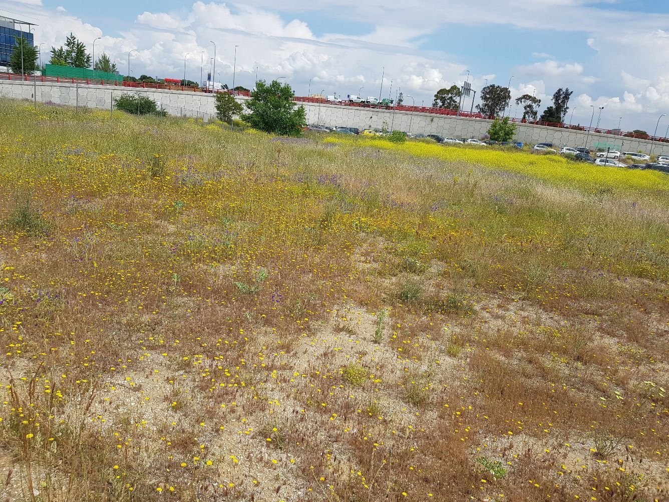 Industrial land for sale in Alcorcón
