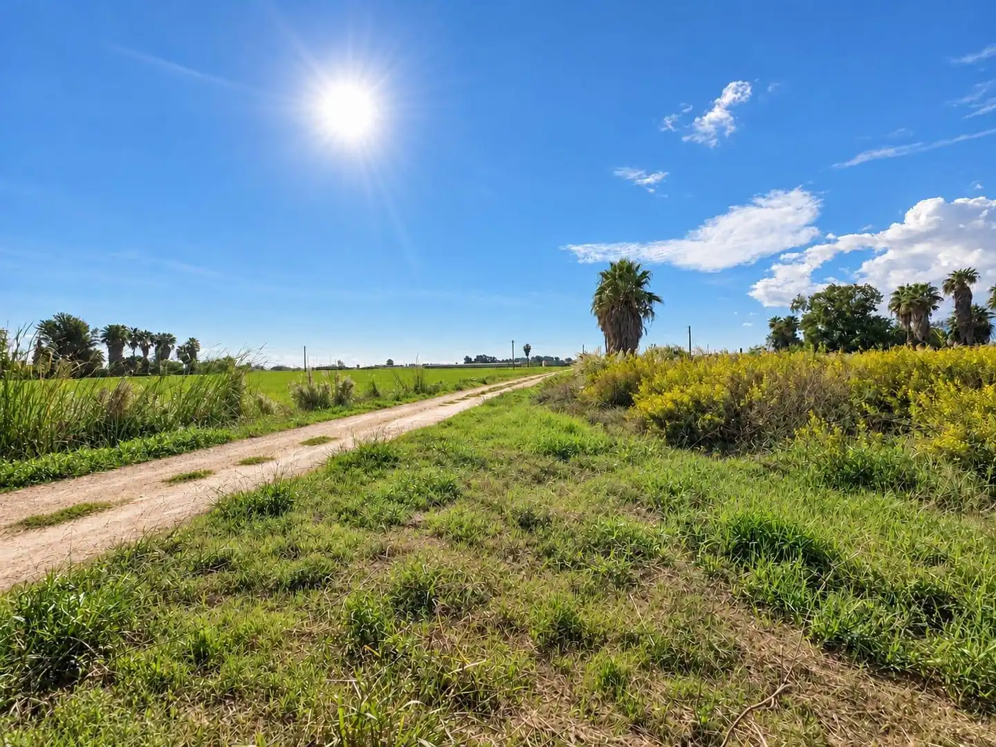Rural land for sale in Polígono Sèquia de la Figuerola Dreta, imagen 15