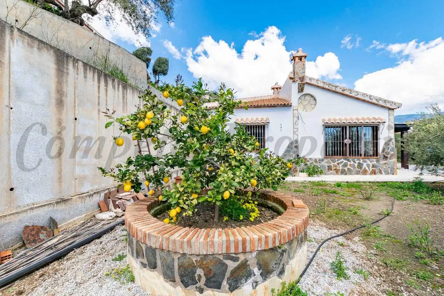 Casa con piscina en venta en Cómpeta, imagen 3